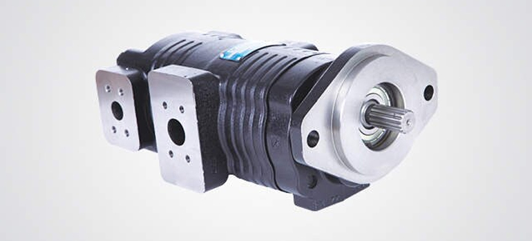 Double Gear Pump